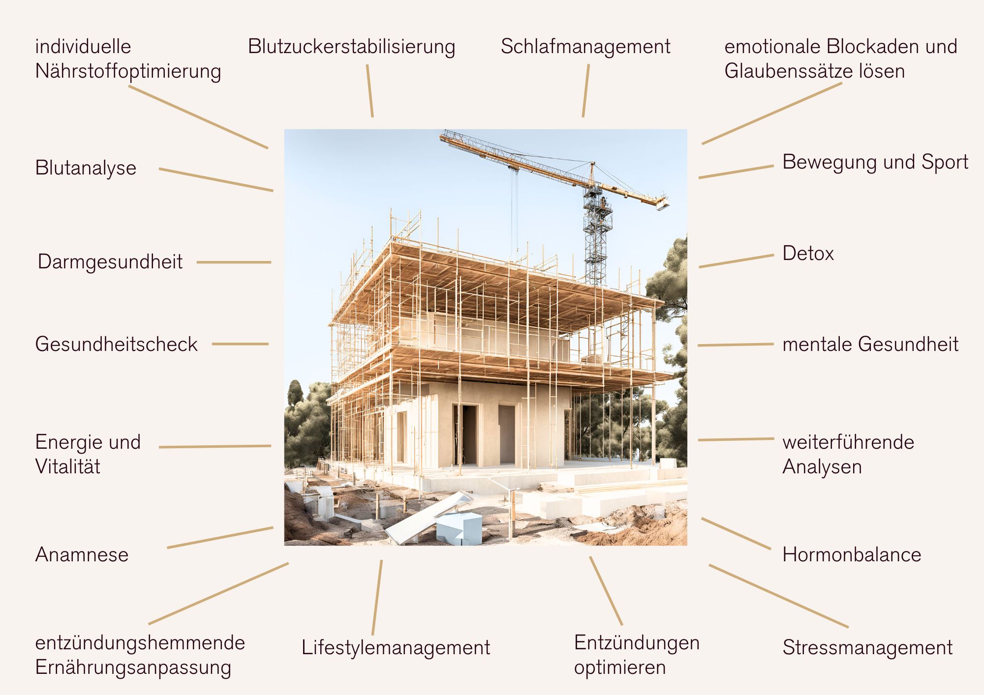 Uebersicht Phase 1 Ganzheitliches Gesundheitscoaching, Beautiful Longevity, Antiaging, Hormonbalance, mehr Energie, beruhigtes Nervensystem, gesunde Haut, Darmaufbau, Ernaehrung, Stressmanagement, Blutanalyse, Anamnese