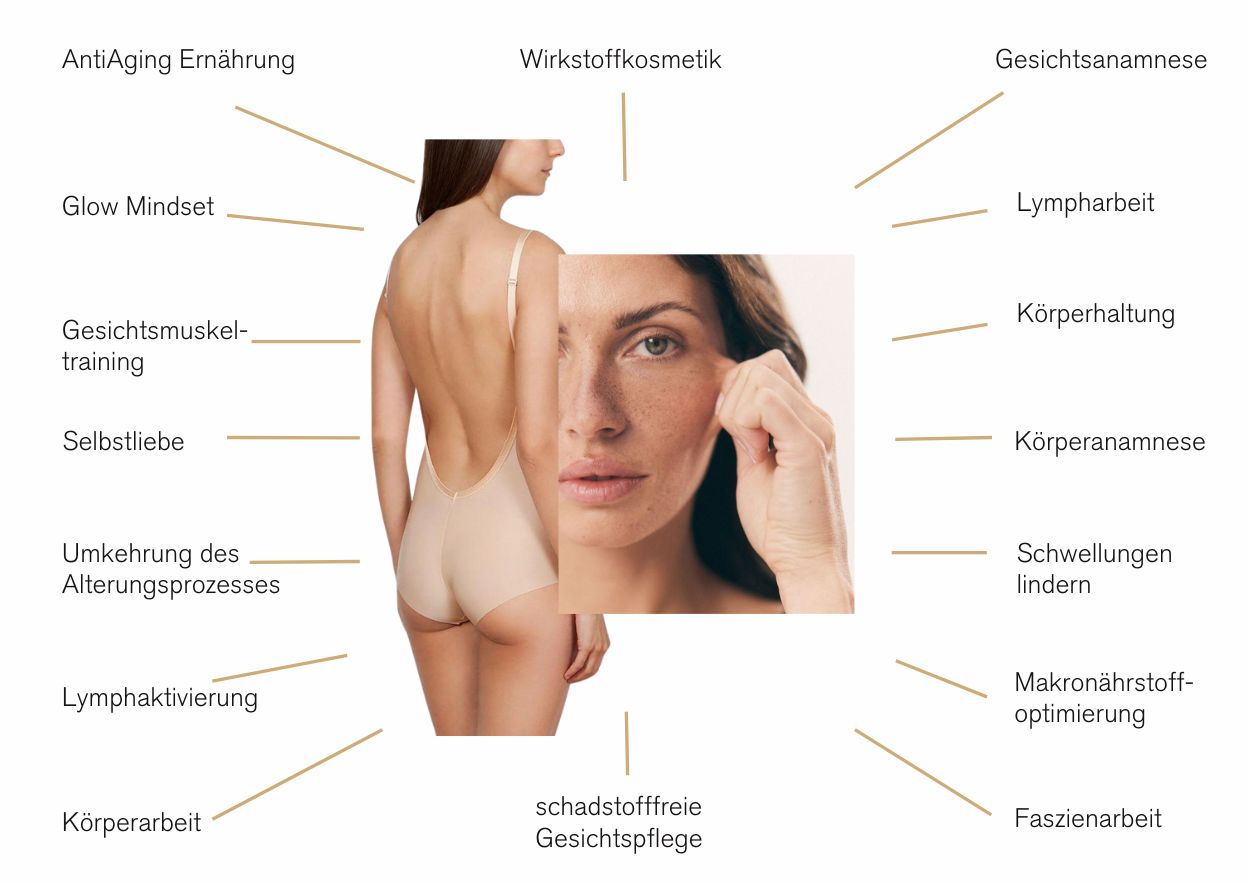 Uebersicht Phase 2 Ganzheitliches Gesundheitscoaching, Beautiful Longevity, Antiaging, gesunde Haut, Gesichtsmuskeltraining, Faszientraining, Körperarbeit, Lympharbeit, Körperhaltung