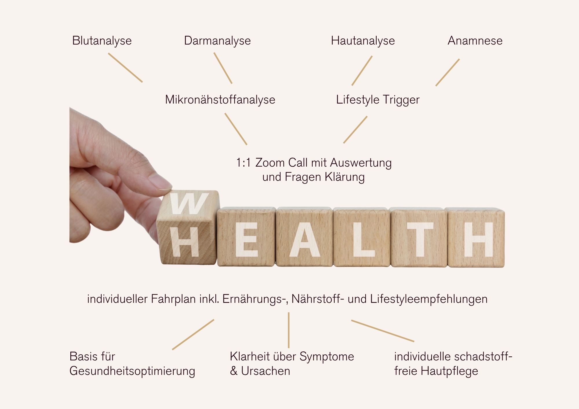 Beautiful Longevity Ganzheitliche Gesundheit Vitalstatusanalyse